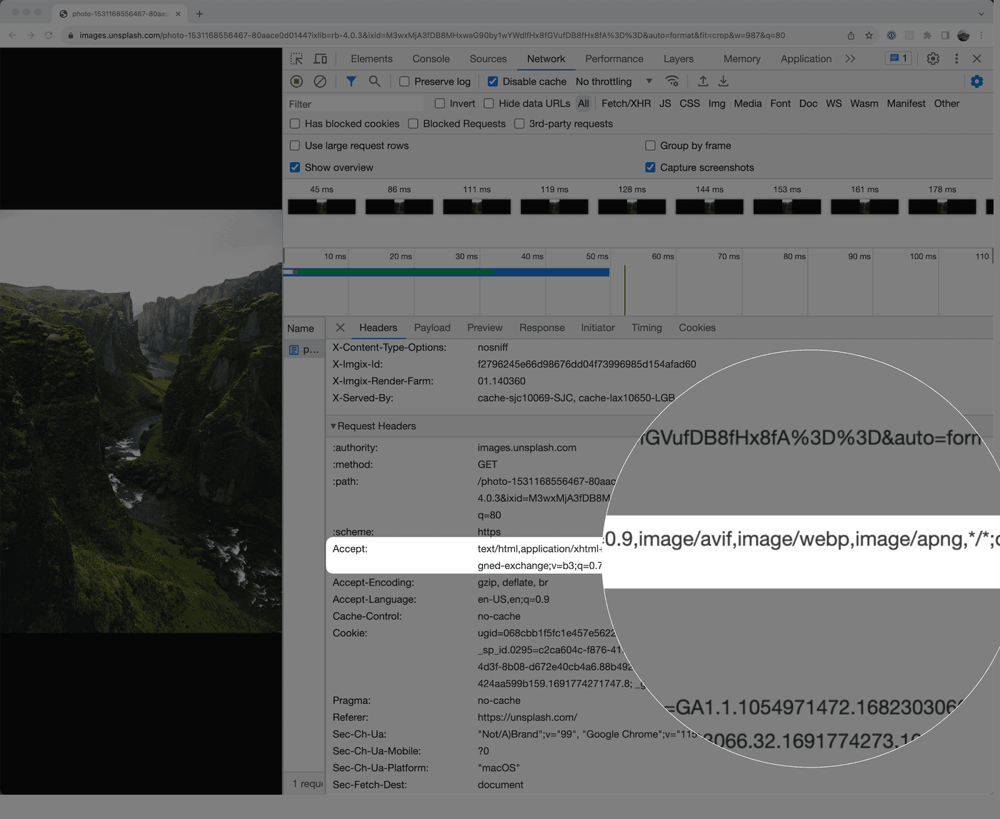 Screenshot of an image request to Unsplash with the `Accept` HTTP header showing support for AVIF, WebP, and PNG