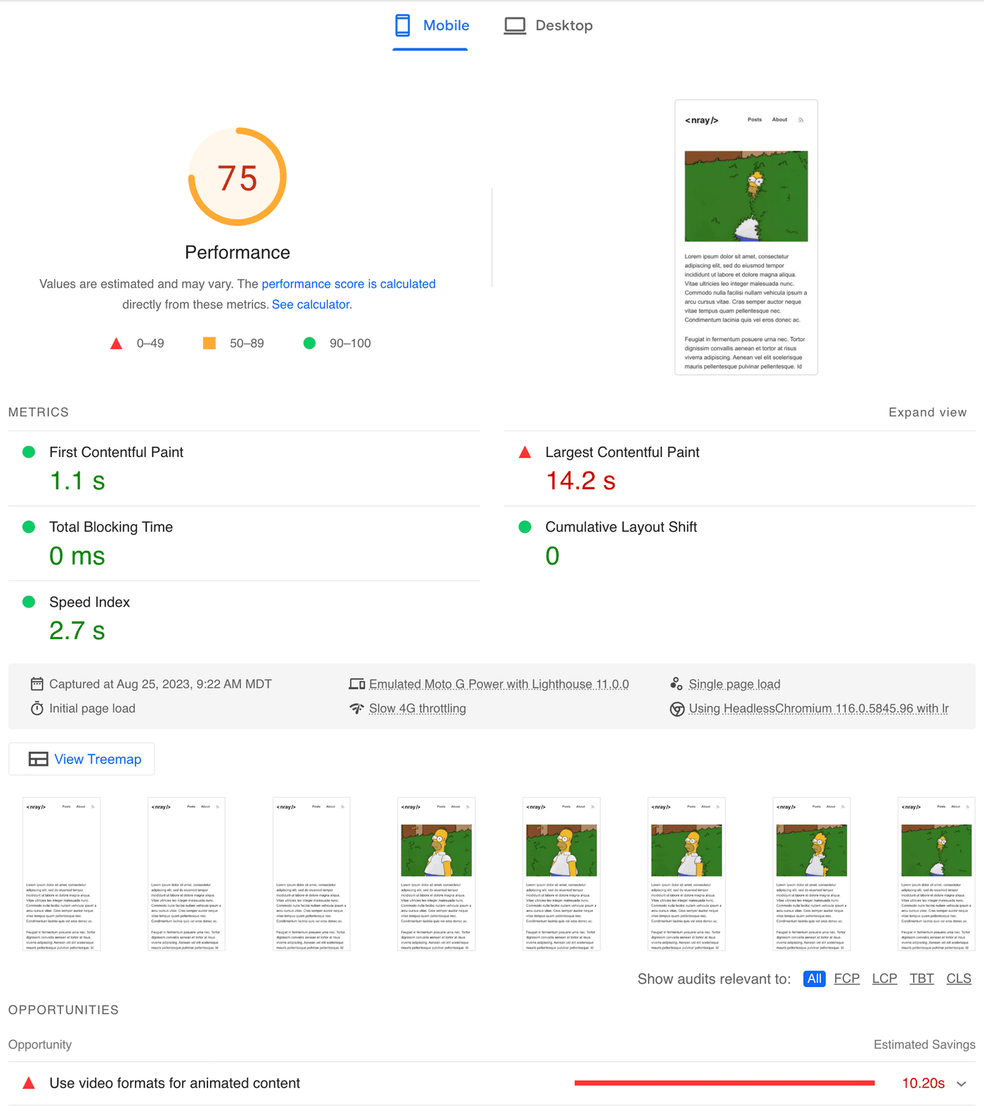 PageSpeed Insights report showing a 75 performance score, 14.2 second Largest Contentful Paint, and a `Use video formats for animated content` warning.