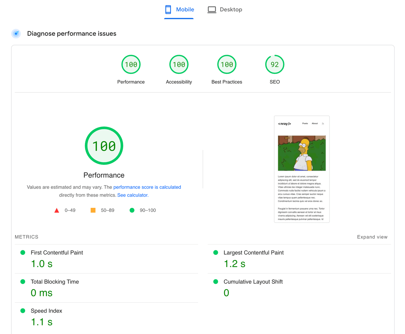 PageSpeed Insights report showing a perfect score when testing the video.